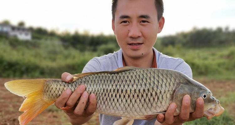 钓鱼有什么秘诀和技巧？如何提高钓鱼成功率？  第1张