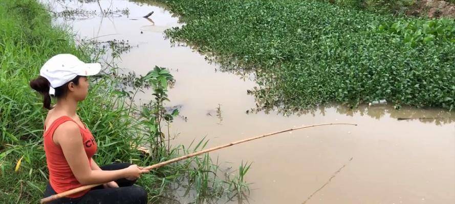 钓鱼时鱼上钩的技巧有哪些？如何提高钓鱼成功率？  第3张