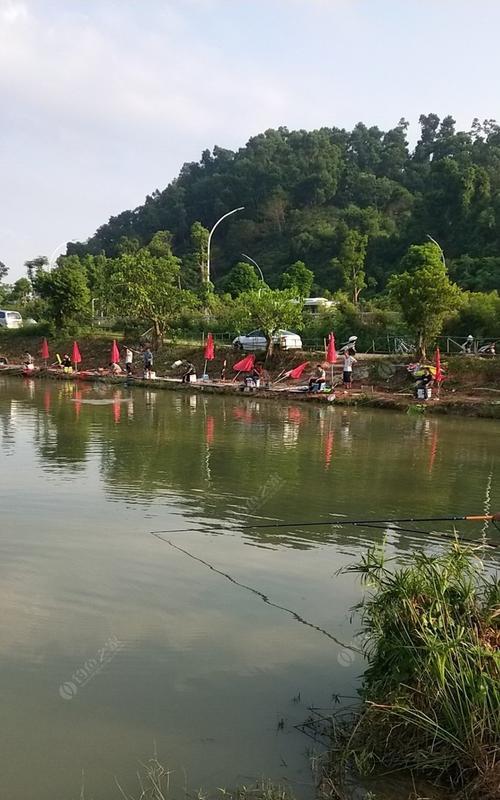如何选择最佳钓鱼鱼塘位置？掌握这些选位技巧了吗？  第2张