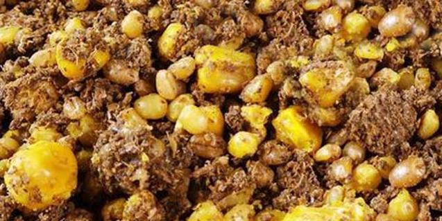 如何使用钓鱼玉米提高钓获率？常见问题有哪些？  第2张