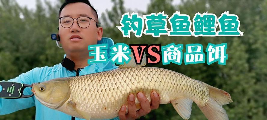 如何使用钓鱼玉米提高钓获率？常见问题有哪些？  第3张
