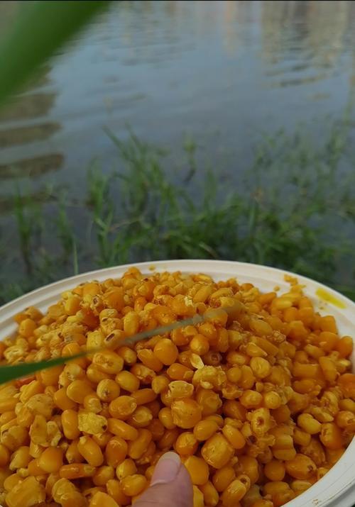 如何正确使用钓鱼玉米挂钩技巧？常见错误有哪些？  第3张