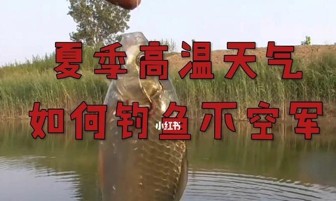 钓鱼怎么才能提高钓鱼技巧？有哪些必备的钓鱼技巧？  第2张