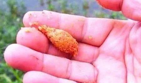 钓鱼压线技巧有哪些？如何正确压线提高钓鱼成功率？  第2张