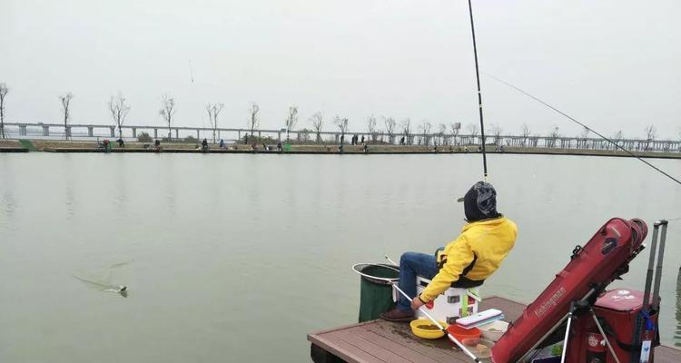 如何简单掌握钓鱼炸窝技巧？教程步骤是什么？  第1张