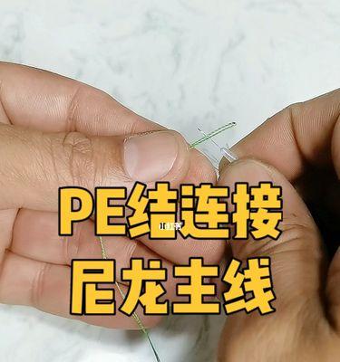 如何提高钓鱼技巧？掌握哪些钓鱼知识能增加成功率？  第2张