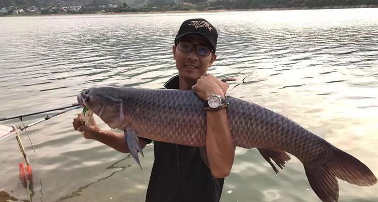 如何提高钓鱼中鱼率？掌握哪些技巧能成功钓到鱼？  第3张