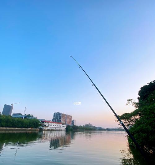 如何在钓鱼中有效溜鱼？掌握这些技巧轻松提升渔获！  第2张
