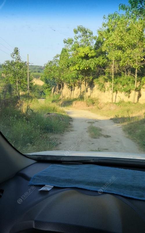定江山钓鱼技巧有哪些？如何快速掌握钓鱼技巧？  第1张