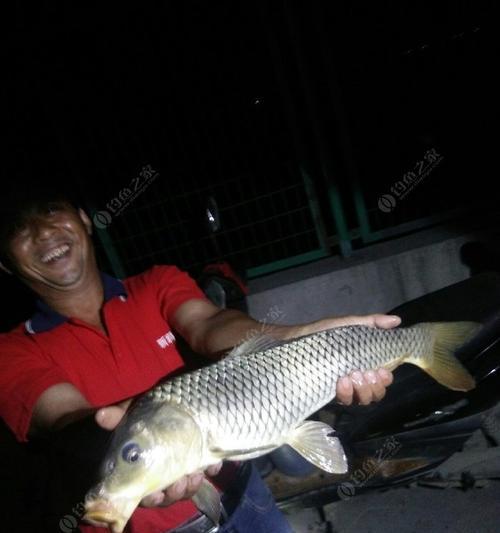 东北5月份野钓鲤鱼有哪些有效方法？如何掌握这些技巧？  第3张