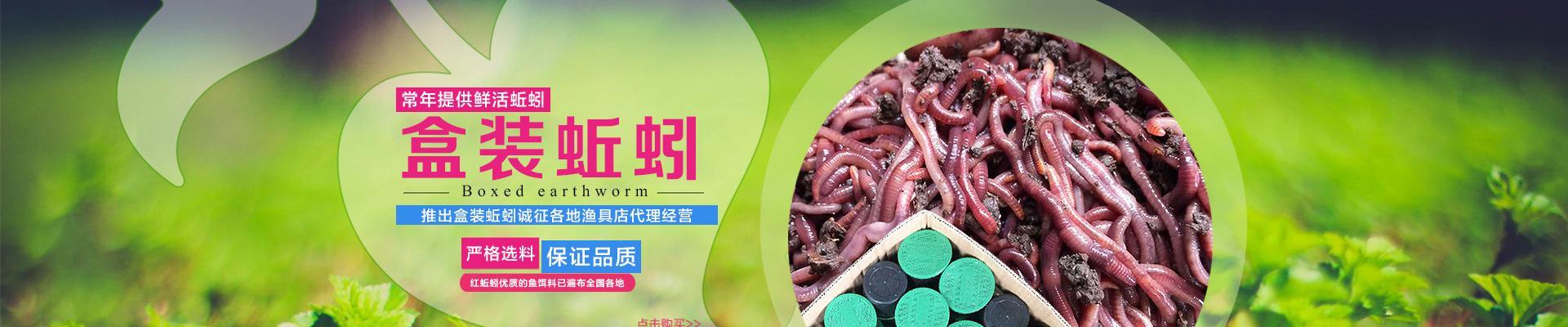 东北野生蚯蚓钓鱼技巧有哪些？如何提高钓鱼成功率？  第3张