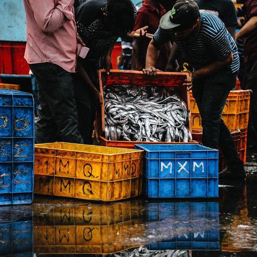 东南亚渔民钓鱼技巧有哪些？如何提高钓鱼效率？  第3张