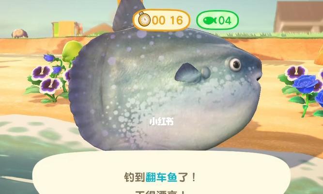 东森入海口钓鱼技巧有哪些？如何提高钓鱼成功率？  第1张