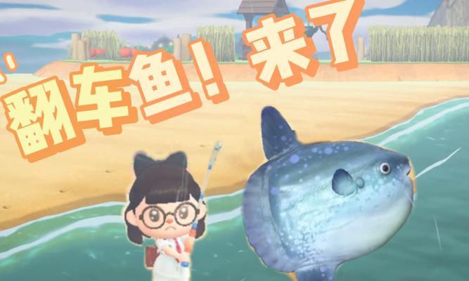 东森入海口钓鱼技巧有哪些？如何提高钓鱼成功率？  第3张