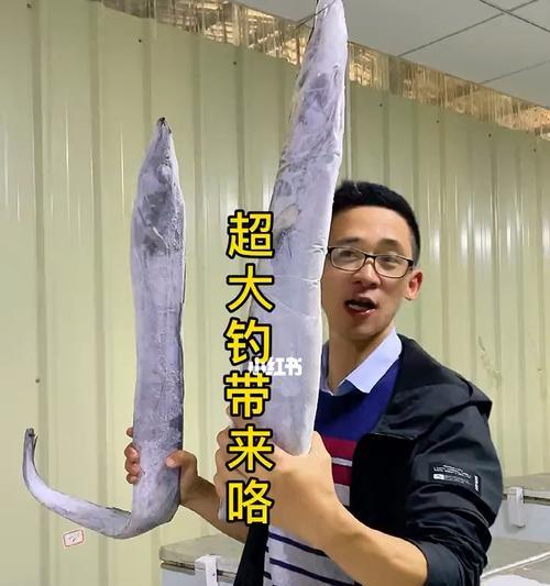 东山岛钓鱼技巧有哪些？如何提高钓鱼成功率？  第1张