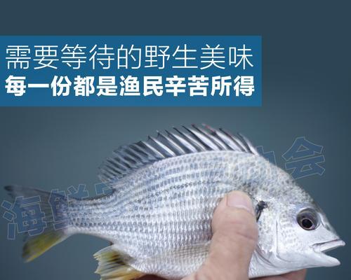 东山岛钓鱼技巧有哪些？如何提高钓鱼成功率？  第3张