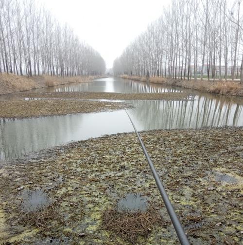 多水草清澈的水域野钓鲤鱼技巧是什么？如何提高钓鲤鱼的成功率？  第1张