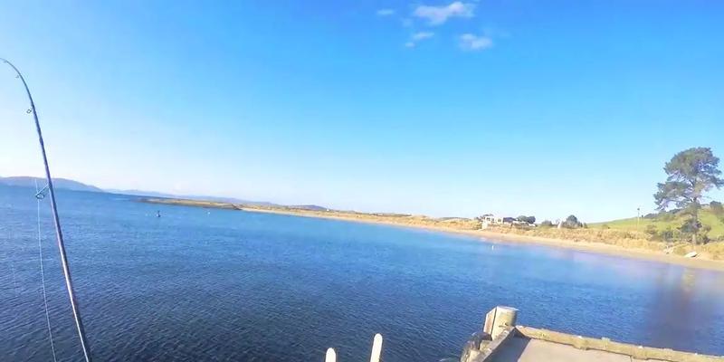 多维度钓鱼技巧是什么？如何提升钓鱼成功率？  第3张