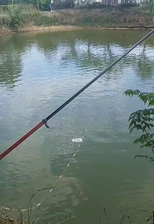 俄罗斯鱼塘钓鱼技巧有哪些？如何提高钓鱼成功率？  第1张