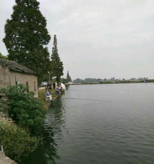 俄罗斯鱼塘钓鱼技巧和方法是什么？如何提高钓鱼成功率？  第3张