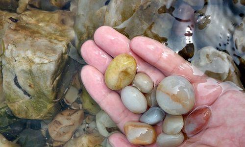 鹅卵石底钓鱼技巧是什么？如何提高在鹅卵石底钓鱼的成功率？  第2张