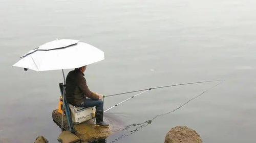 鹅毛浮漂钓鱼技巧有哪些？如何提高钓鱼成功率？  第3张