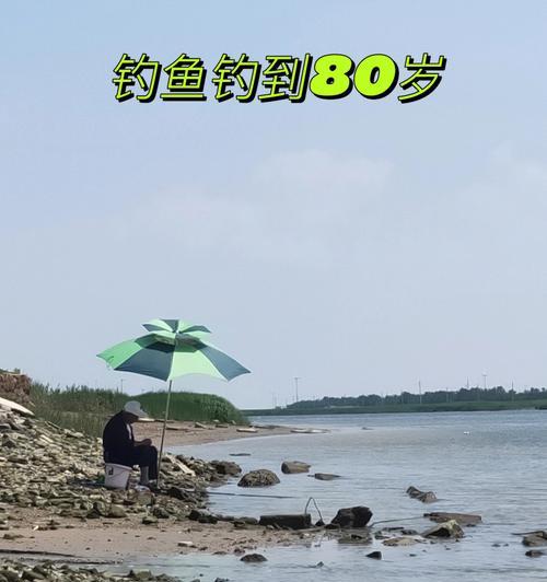 儿童第一次钓鱼技巧是什么？如何确保安全和乐趣？  第2张