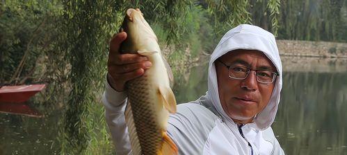 饵盒钓鱼技巧教程？如何选择合适的饵盒？  第1张
