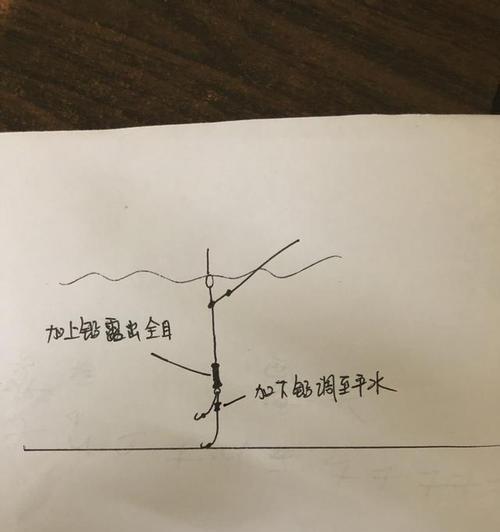 饵料调漂与钓鱼技巧有哪些常见问题？如何解决？  第2张