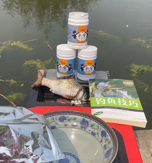 如何掌握铒料钓鱼的技巧？常见问题有哪些？  第3张