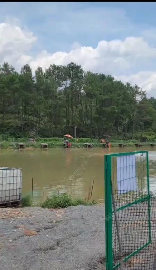 二两换八两钓鱼技巧和方法是什么？如何有效提高钓鱼成功率？  第3张