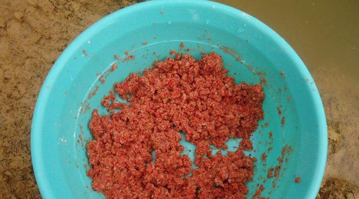 六月份钓鱼开饵技巧是什么？如何根据季节调整饵料？  第1张