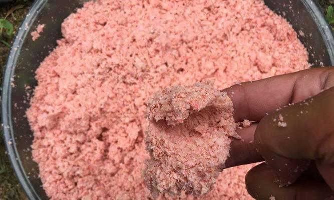 六月份钓鱼开饵技巧是什么？如何根据季节调整饵料？  第3张