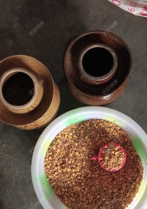 发酵麦子钓鱼技巧有哪些？如何提高钓鱼成功率？  第1张