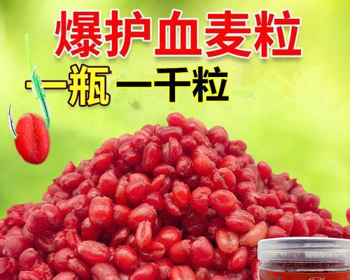 发芽麦粒钓鱼技巧有哪些？如何正确使用发芽麦粒提高钓鱼成功率？  第1张