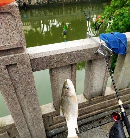 夏天筏竿钓鱼技巧有哪些？如何提高夏季筏钓成功率？  第2张