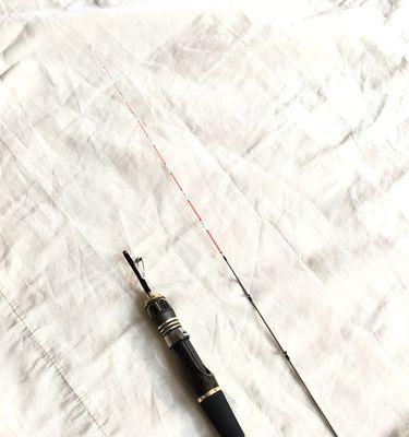 筏竿钓鱼走水技巧教程？如何应对流水挑战？  第3张