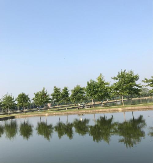 室内使用帆布鱼池钓鱼有哪些技巧？如何提高钓鱼成功率？  第3张