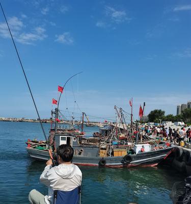 帆船出海钓鱼技巧教程？如何安全高效地进行海钓？  第2张