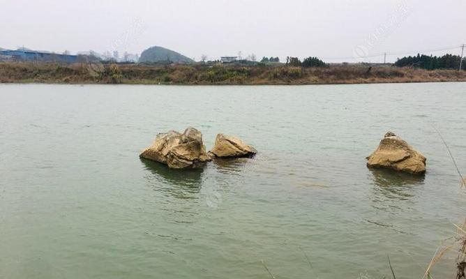 翻板钓浮钓技巧有哪些？如何提高翻板钓浮钓的成功率？  第2张