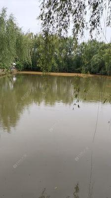 方形鱼塘钓鱼选点技巧是什么？如何提高钓鱼成功率？  第2张