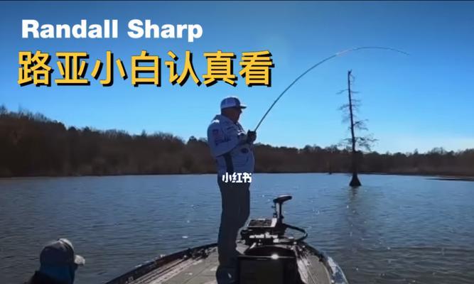方舟钓鱼技巧教学有哪些？如何快速掌握钓鱼技能？  第3张