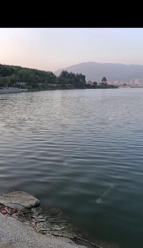 放钓塘钓鱼技巧有哪些？如何提高钓鱼成功率？  第3张