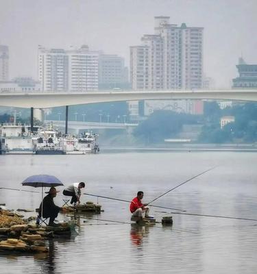放生塘水库钓鱼技巧有哪些？如何提高钓鱼成功率？  第2张