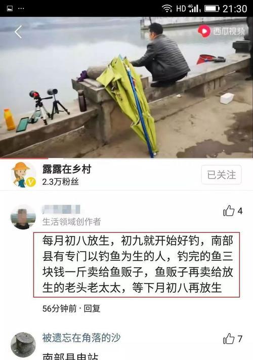 放生鱼钓鱼技巧有哪些？如何提高钓鱼成功率？  第1张