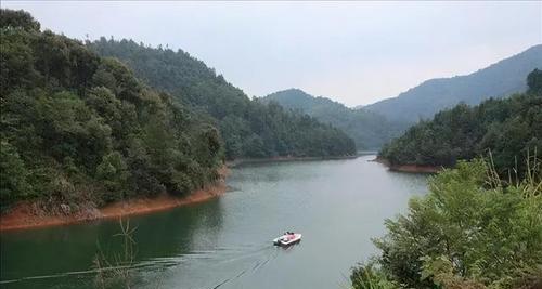 放水口回水湾钓鱼技巧有哪些？如何提高钓鱼成功率？  第2张