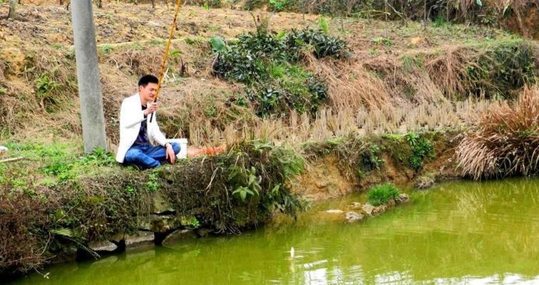 放养鱼塘钓鱼技巧有哪些？如何提高钓鱼成功率？  第1张