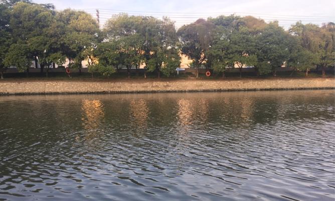 放夜钩钓塘角鱼技巧有哪些？如何提高成功率？  第2张