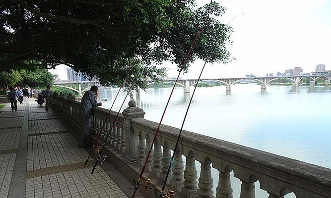 放长线钓鱼技巧有哪些？如何提高钓鱼成功率？  第2张