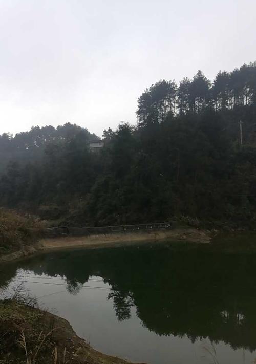 飞龙湖钓鱼技巧有哪些？如何提高钓鱼成功率？  第2张